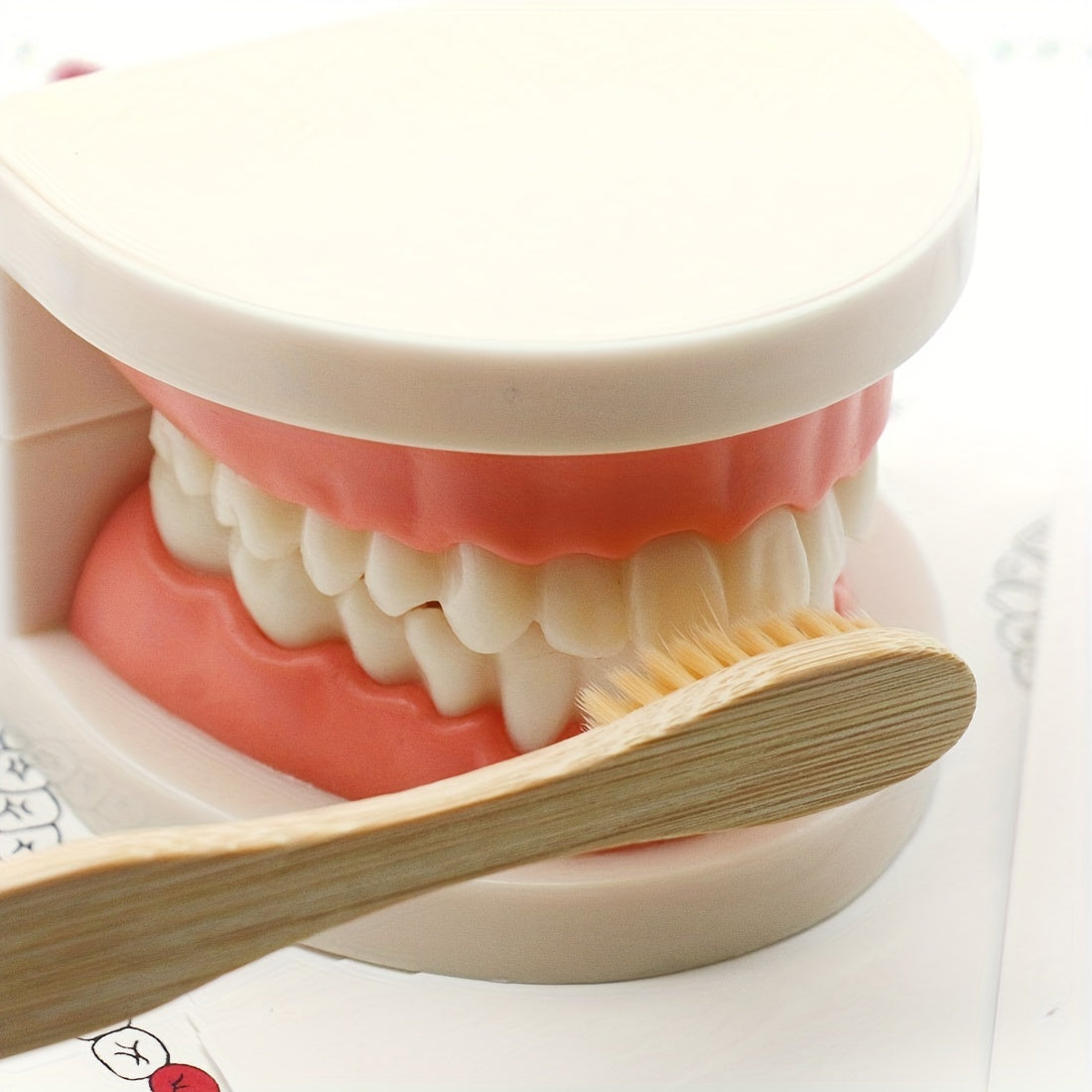 Educational Toothbrush and Model Set for Early Learning - Multicolor PP Material, Dental Hygiene Teaching Aids for Kindergarten, Practical Life, Education Toys